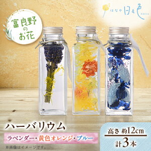 yӂ邳Ɣ[ŁzyMtgzxǖ̂ n[oE 3{Zbg(x_[AFIWAu[)yzsnFꌧzy1551589z