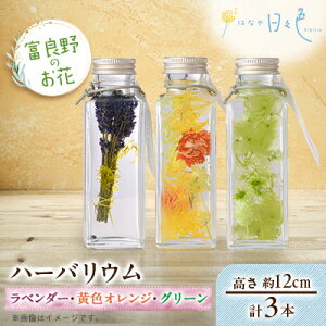 yӂ邳Ɣ[ŁzyMtgzxǖ̂ n[oE 3{Zbg(x_[AFIWAO[)yzsnFꌧzy1552140z