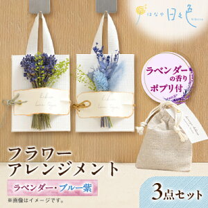 yӂ邳Ɣ[ŁzyMtgzt[ AWg 23_Zbg(u[)q x_[ ̍|vtry1552202z