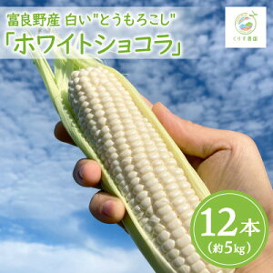 yӂ邳Ɣ[Łzy2026NzkCxǖYƂ낱uzCgVRv12{(5kg)yzsnFzy1576599z