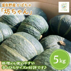 yӂ邳Ɣ[Łzy2026NzkCxǖYڂuVv5kg ̂ЂTCYD]ł!y1576617z