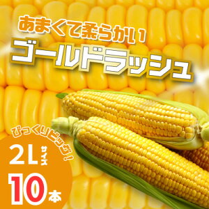 yӂ邳Ɣ[Łzy2026NzkCxǖY@CG[Ƃ낱@S[hbV2LTCY10{@YnyzsnFzy1609338z