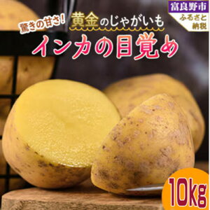 yӂ邳Ɣ[Łzy2025Ns\z̃WKC@CJ̖ڊo 10kg kC xǖYy1624719z