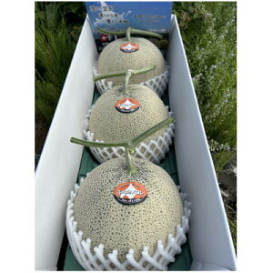 yӂ邳Ɣ[Łzy2026NzI@xǖ상 (ԓ)@3(ʁEe2kg)y1626440z