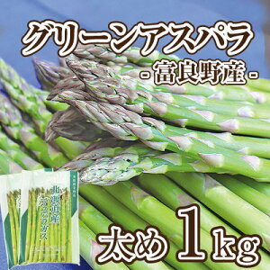 yӂ邳Ɣ[ŁzyIׂTCY/S`M(ׂ)`zys\zy2026NzxǖYAXp1kg_ AXpKX  AXp xǖ kC lC    Mtg ① Yn