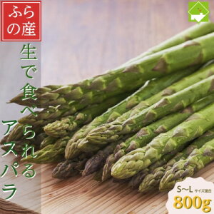yӂ邳Ɣ[ŁzuvŐHׂ!kCxǖY@O[AXp@800g (S`LTCY)_ O[AXp  AXp kC xǖ Y Yn lC   