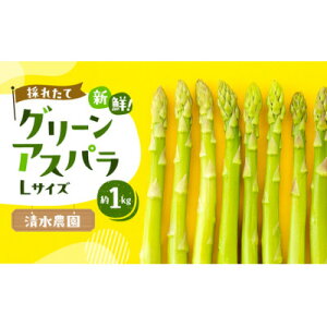 yӂ邳Ɣ[Łz2026Ns\@ӂ̎YO[AXpLTCYv1kgyzsnFzy1675382z