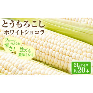 yӂ邳Ɣ[Łzy2026Ns\zxǖYzCgƂ낱@zCgVRv20{yzsnFzy1678461z