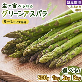 【ふるさと納税】【500g～3kg】「生」で食べられる富良野産グリーンアスパラ(S～Lサイズ混合)_ 野菜 アスパラ グリーンアスパラ 富良野 北海道 朝獲れ 産直 生 人気 おすすめ 送料無料 冷蔵 【配送不可地域：離島】【G1633261】