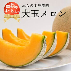 【ふるさと納税】富良野市産　大玉メロン8kg箱(4～5玉入り)【1268354】