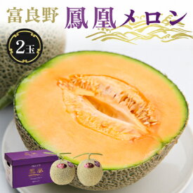 【ふるさと納税】糖度15度 富良野鳳凰メロン(赤肉)　2玉　各2～2.5kg(3Lサイズ)_メロン めろん 富良野メロン 富良野めろん 北海道 富良野市 果物 フルーツ くだもの ふるーつ 青果 果実 甘い 旬 専門店 希少 品種 ギフト 贈答 鳳凰 糖度 定番 プレゼント 【1398077】