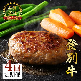 【ふるさと納税】登別牛100％使用ハンバーグ 120g×5個 選べる定期便 全2回〜5回【お肉・ハンバーグ・登別牛】