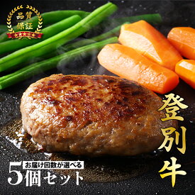 【ふるさと納税】登別牛100％使用ハンバーグ 120g×5個 選べる定期便 全2回〜5回【お肉・ハンバーグ・登別牛】