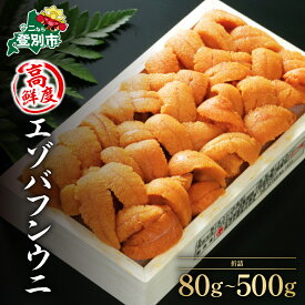 【ふるさと納税】うに 北海道 極上 生うに 折詰 エゾバフンウニ 雲丹 80g 〜 500g《アフター保証付き》【PJ02】 | 海鮮 うに ウニ 雲丹 小分け 大容量 北海道 登別市 高級 魚 魚介類 ギフト ふるさと 人気 ランキング 送料無料