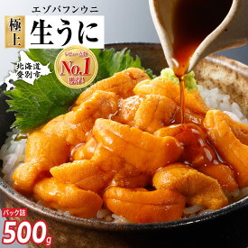 【ふるさと納税】 うに 楽天限定寄付額！ 極上 生うに エゾバフンウニ パック詰 雲丹 80g ～ 500g 北海道 | ふるさと納税 うに 高級 生うに 海鮮 ウニ いくら 丼 訳あり uni 小分け 大容量 北海道 登別市 ギフト ふるさと 人気 ランキング 送料無料