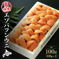 【ふるさと納税】《アフター保証付き!》うに 雲丹 極上 エゾバフンウニ 折詰 100g | ふるさと納税 うに 高級 ウニ 雲丹 生ウニ エゾバフンウニ折り詰め 北海道 登別 ふるさと 人気 送料無料