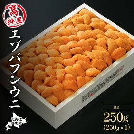 【ふるさと納税】特選 エゾバフンウニ 折詰 250g ウニ丼約3杯分 | ふるさと納税 うに 高級 ウニ 雲丹 生ウニ エゾバフンウニ 折り詰め 北海道 登別 ふるさと 人気 送料無料