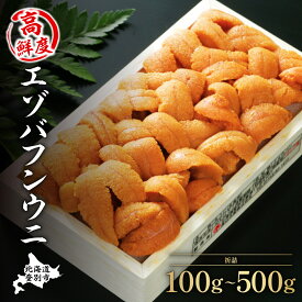 【ふるさと納税】《アフター保証付き！》うに 雲丹 極上 エゾバフンウニ 折詰 100g〜500g | ふるさと納税 うに 高級 ウニ 雲丹 生ウニ エゾバフンウニ折り詰め 折詰 選べる 北海道 登別 ふるさと 人気 送料無料