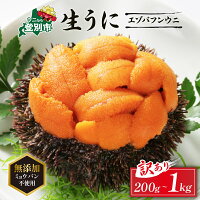 老舗料亭の味をお届け 名産昆布を食べて育った最高級うに エゾバフンウニ 訳...