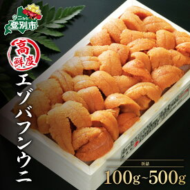 【ふるさと納税】うに 北海道 極上 生うに 折詰 エゾバフンウニ 雲丹 100g 〜 500g《アフター保証付き》 | ふるさと納税 うに 北海道 高級 海鮮 魚 魚介類 ウニ 登別 ギフト 2025 ふるさと 人気 ランキング 送料無料
