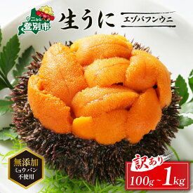 【ふるさと納税】うに ミョウバン不使用 北海道 生うに 塩水パック エゾバフンウニ 雲丹 100g 〜 1kg 《アフター保証付き》【PJ02】 | ふるさと納税 うに ウニ 小分け 大容量 北海道 登別市 訳あり 無添加 規格外 ふるさと ランキング 送料無料 ギフト