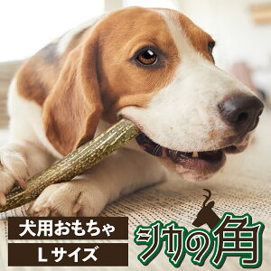yӂ邳Ɣ[ŁzkCYF Ԃ p 1{ IׂTCYiSEMELjyVR ̊p  p ybg  XgX  f^PA   ^ ^ ^