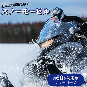 yӂ邳Ɣ[ŁzN.O.PoʃIt[hp[N Xm[[r 60pit[R[Xj@y̌`Pbgz
