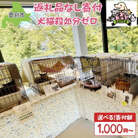 【ふるさと納税】【寄付額が選べる】日本動物愛護協会殺処分低減活動への寄附【犬猫殺処分ゼロ】（返礼品なし）【MRI-AiD】