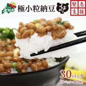 【ふるさと納税】高評価★4.8以上！ 納豆 北海道産 高級 極小粒 3パック × 10 | ふるさと納税 納豆 国産 北海道 高級 なっとう 大豆 朝食 惣菜 おかず お惣菜 米 ご飯 のお供 定期 道南平塚食品 北海道 登別 人気 ランキング 送料無料
