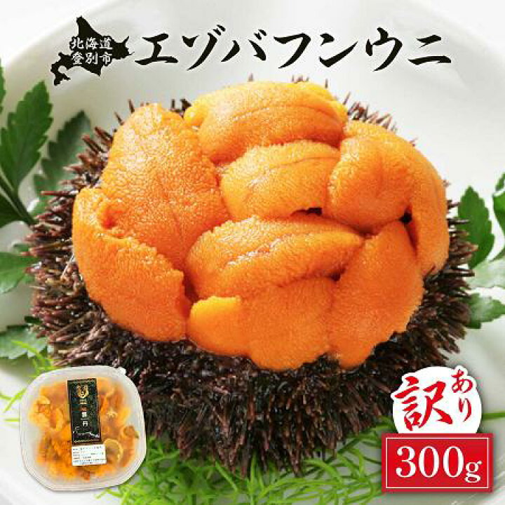 20100円 2022新作 ふるさと納税 規格外品 無添加エゾバフンウニ塩水パック300g C:22年1月下旬〜3月下旬迄 北海道登別市 20100円 2022新作 ふるさと納税 規格外品 無添加エゾバフンウニ塩水パック300g C:22年1月下旬〜3月下旬迄 北海道登別市