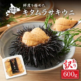 【ふるさと納税】うに 国産 訳あり 生うに 北海道 キタムラサキウニ パック詰め 雲丹 100g〜1kg | ふるさと納税 うに 訳あり 海鮮 高級 ウニ 雲丹 生ウニ 北海道 登別 ふるさと 人気 ランキング 送料無料