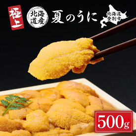 【ふるさと納税】うに 国産 極上 生うに 北海道 キタムラサキウニ 雲丹 折詰 うに 100g〜500g | ふるさと納税 うに 生うに 海鮮 高級 ウニ 雲丹 生ウニ ムラサキウニ 折り詰め 訳あり 北海道 登別 ふるさと 人気 ランキング 送料無料
