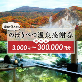 【ふるさと納税】北海道 登別市 のぼりべつ 温泉感謝券 寄附額 12000円〜1200000円 クーポン 3000円分〜300000円分 | ふるさと納税 旅行 温泉 観光 トラベル ホテル 旅館 ふるさと納税旅行券 宿泊 宿泊券 温泉利用券 ギフト チケット 北海道 登別 ふるさと 人気 送料無料