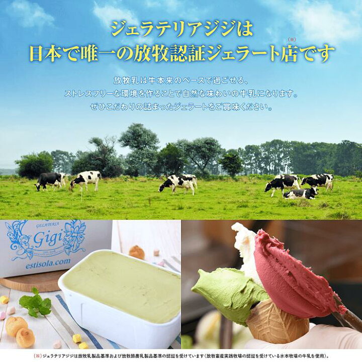 2400円 ブランドのギフト ふるさと納税 ジェラテリアGigiのイタリアンジェラート3種セット 牛乳2 ピスタチオ2 チョコレート2 北海道恵庭市 2400円 ブランドのギフト ふるさと納税 ジェラテリアGigiのイタリアンジェラート3種セット 牛乳2 ピスタチオ2 チョコレート2 北海道恵庭市