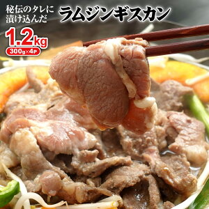 yӂ邳Ɣ[ŁztWMXJ 300g 4 v1.2kg IC \ ӂ邳Ɣ[ kC b   t ^ t r r   WMXJ ē o[xL[ BBQ AE
