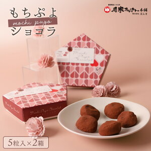 【ふるさと納税】もちぷよショコラ5粒入×2箱セット【170046】