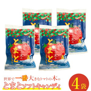 yӂ邳Ɣ[ŁzEňԑ傫ȃg}g̖؂̂Ƃ܂ƃ\tgLfB×4 \tgLfB n kC g}g 70g 4 6000~ 6,000~   َq ӂ邳Ɣ[ b bsy1