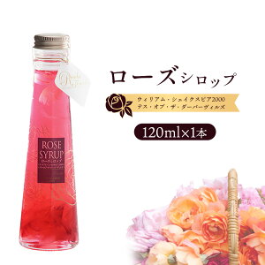 yӂ邳Ɣ[Łz[YVbviEBAEVFCNXsA2000eXEIuEUE_[o[BYj120ml×1{y190039z
