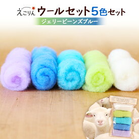 【ふるさと納税】えこりんウールセット《白とジェリービーンズ　ブルー》 手芸キット ウール 生地 手芸 6,000円 6000円 手作り ふるさと納税 北海道 恵庭 恵庭市【190050】