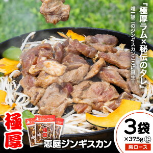 【ふるさと納税】【選べる内容量!】恵庭ジンギスカン(NZラム肩ロース使用)1〜3袋 | ジンギスカン 焼肉 ラム ラム肉 肩ロース 恵庭ジンギスカン 羊肉 バーベキュー BBQ 特産品 ご当地グル