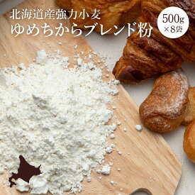 【ふるさと納税】【北海道産小麦】 ゆめちから ブレンド粉 500g × 8袋 強力粉 パンやピザに 国産 北海道産 小麦粉 ホームベーカリー 北海道 ふるさと納税 恵庭市 恵庭 【290003】