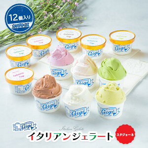 【ふるさと納税】ジェラテリアGigiのイタリアンジェラート6種(スタジョーネ) 牛乳 ピスタチオ チョコレート ブルーベリーヨーグルト Gigiが選ぶおまかせジェラート 12個 アイス ジェラート 北