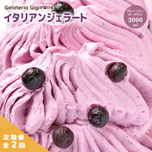 yӂ邳Ɣ[Łzy2z WFeAGigi C^AWF[g u[x[[Og 2000ml WF[g u[x[ ACX gigi Ɩp 2L XC[c  O  2 