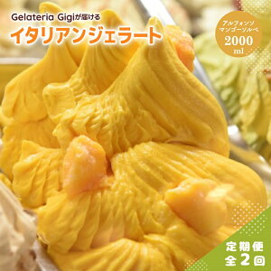 yӂ邳Ɣ[Łzy2z WFeAGigi C^AWF[g AtH\}S[\x 2000ml WF[g }S[ ACX gigi Ɩp 2L XC[c  O  2 