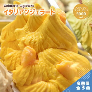 yӂ邳Ɣ[Łzy3z WFeAGigi C^AWF[g AtH\}S[\x 2000ml WF[g }S[ ACX gigi Ɩp 2L XC[c  O  3 