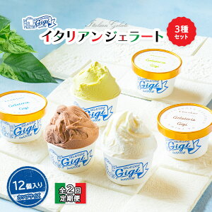 【ふるさと納税】【定期便2回】 ジェラテリアGigi イタリアンジェラート 3種 各4個 計12個 セット ジェラート アイス 牛乳 ピスタチオ チョコレート カップ スイーツ 定期便 2回 ふるさと納税