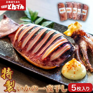 yӂ邳Ɣ[Łz̈銱(5j ӂ邳Ɣ[ kC  CJ 銱 5 5 ܂ ͂̂ Ƃł bs b  lߍ킹 O CN 