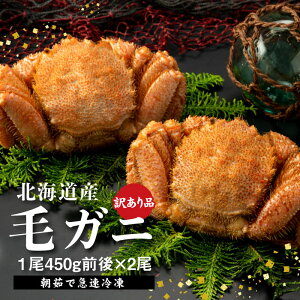 yӂ邳Ɣ[Łzy󂠂iz ykCYz wⓀxуKj450gO×2t Ⓚ kCY A HiX ъI т уKj  kC bs ӂ邳Ɣ[ b I Jj  Lށy