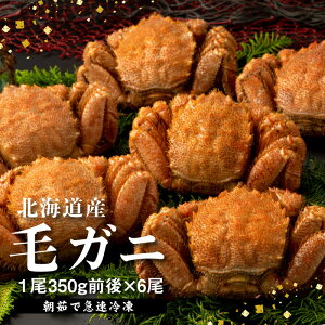 yӂ邳Ɣ[ŁzykCYzwⓀxуKj350gO×6ty}Ⓚzy520017z