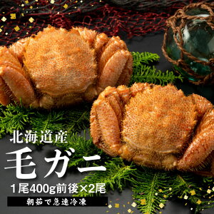 【ふるさと納税】【北海道産】『冷凍』毛ガニ400g前後×2杯【急速冷凍】【520018】